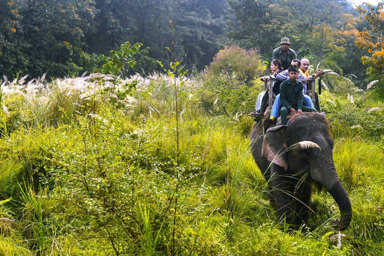 3 Nights 4 Days: Chitwan National Park with Tower Night Stay