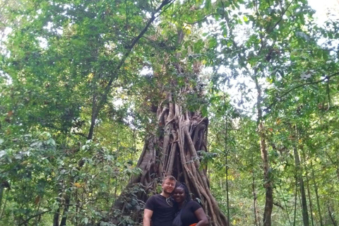 Khlong Sok: Khao Sok Waterfalls and Wildlife Half-Day TrekShared Adventure