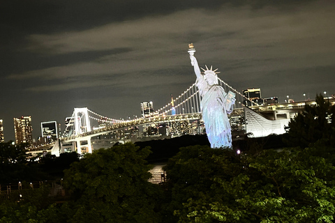 Tóquio: tour noturno privado com recolha no hotel