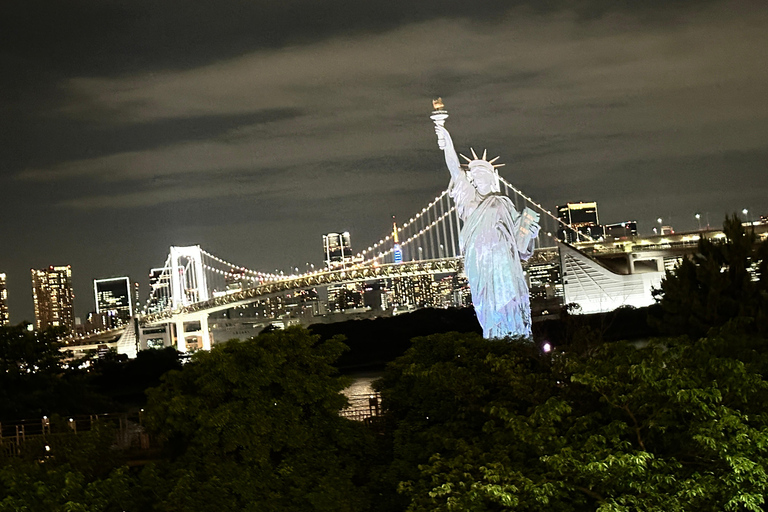 Tokyo: tour notturno privato con passaggio in hotel