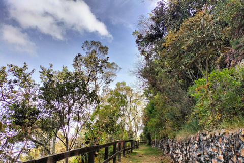 Bogotá: Monserrate Birdwatching Tour with Guide
