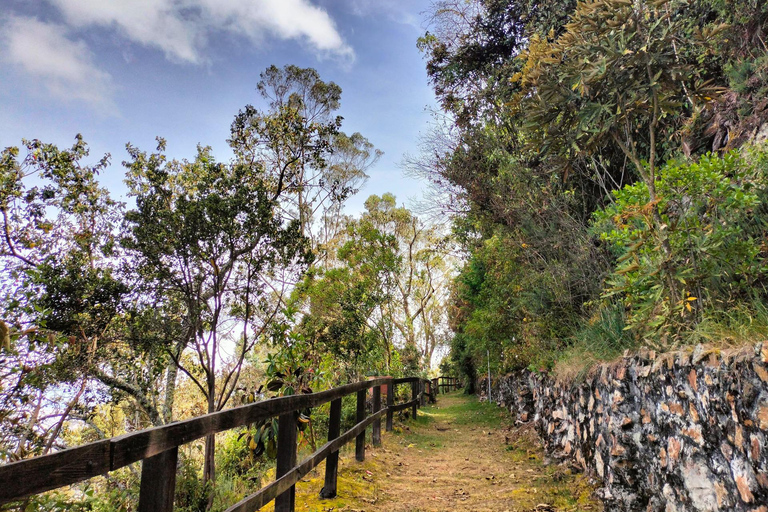 Bogotá: Monserrate Birdwatching Tour with Guide