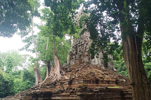 Siem Reap: Tour guiado na cidade de Angkor Thom com duração de 4 horas