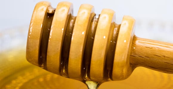 Olicatessen Greek Honey Tasting in Thessaloniki