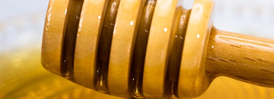 Dégustation de miel grec à Olicatessen, à Thessalonique