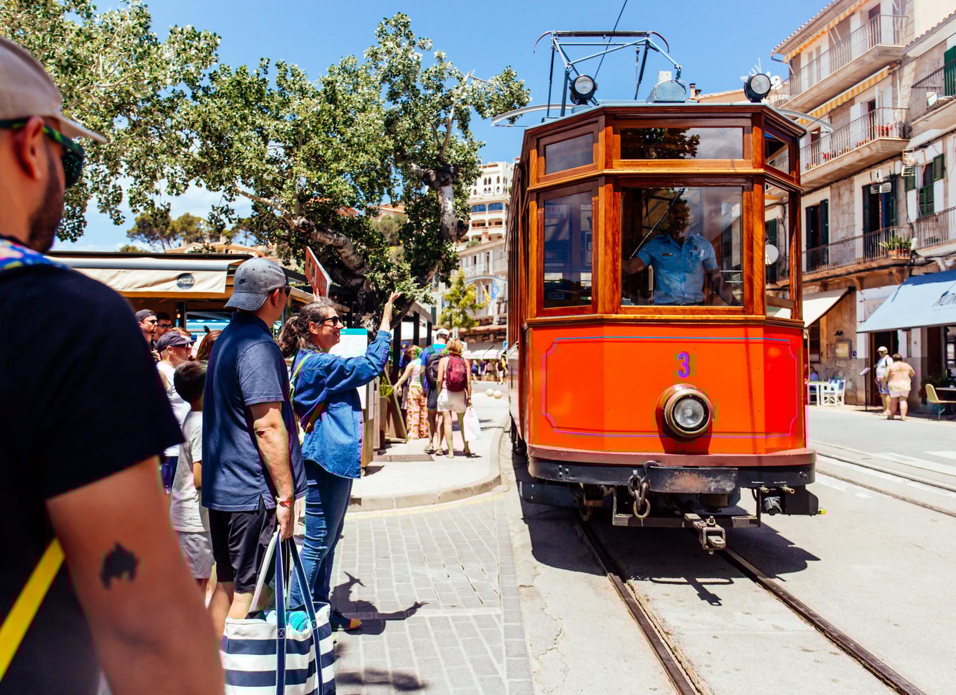 Fra Palma: Guidet tur til Serra Tramuntana og Lluc-klosteret