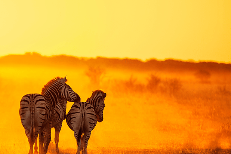 Sunrise Game Drive in Zambezi NP: Big Five Tracking