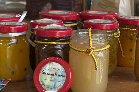 Minca: Coffee Farm and Hidden Waterfall Tour with Lunch