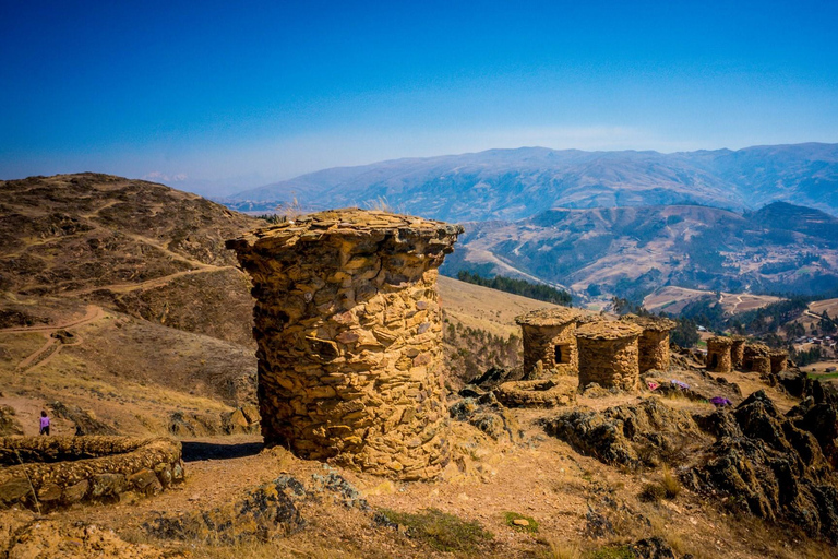From Cusco: Manu Wildlife & Cloud Forest 3-Day Adventure