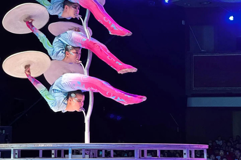 Beijing: Red Theater Kung Fu and Acrobatics Show Ticket 2nd floor