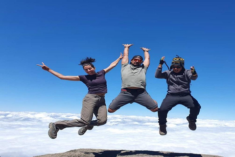 7 days Machame route Kilimanjaro Climbing Tour Package 7 days Machame route Kilomanjaro Group Tour