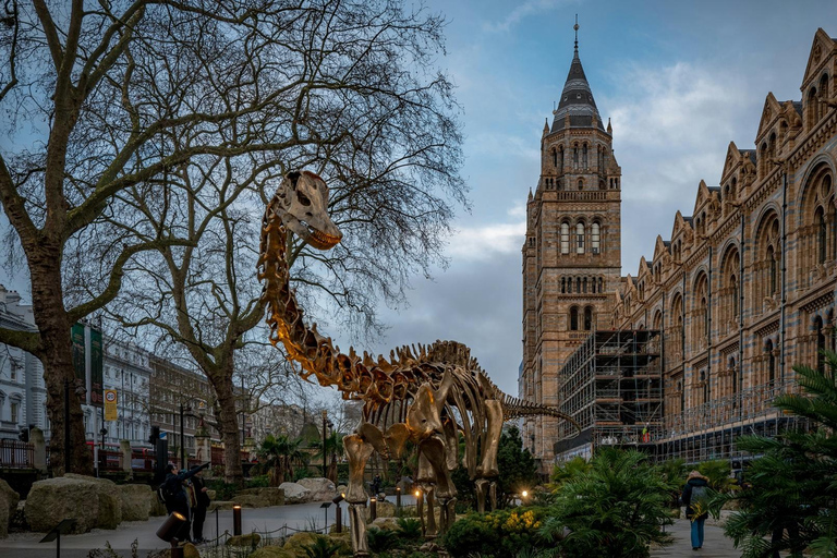 London: Natural History Museum Express Tour & Audio App