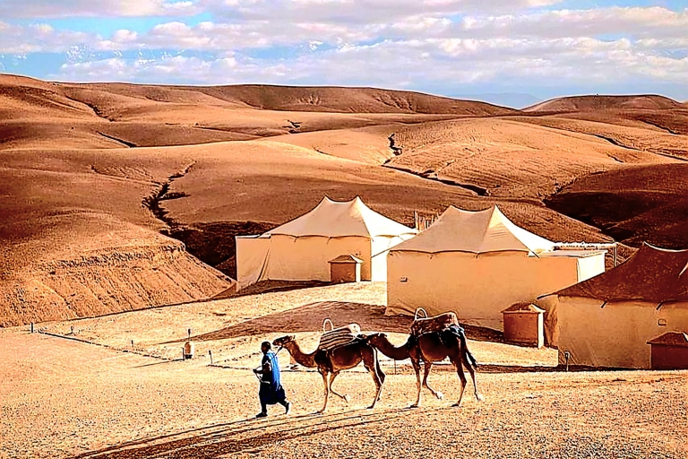 Marrakech: Agafay Desert Dinner Show with Quad Bike & Camel