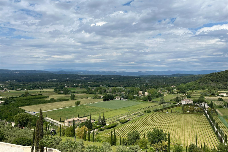 Guida parlante giapponese nel Luberon