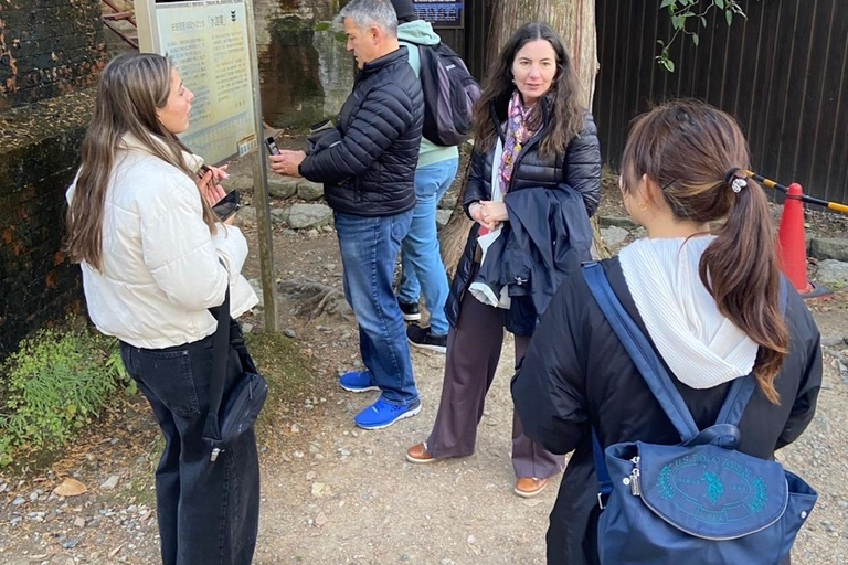 E-Bike Tour in Kyoto with Asuka, Japanese graduate student