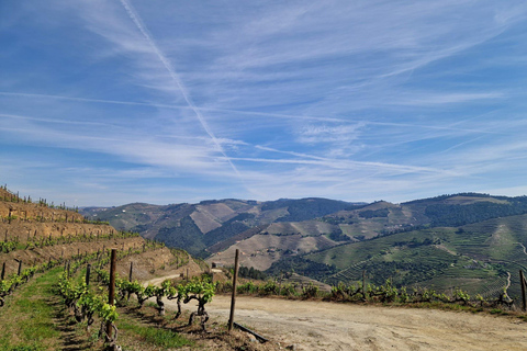 VALLEE DU DOURO : Visite guidée des vignobles, croisière et déjeuner dans un établissement vinicole.Visite privée