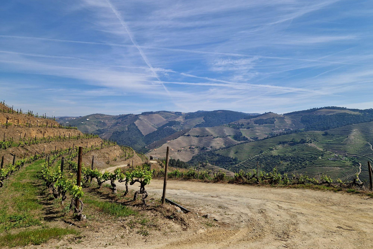 VALLEE DU DOURO : Visite guidée des vignobles, croisière et déjeuner dans un établissement vinicole.Visite privée