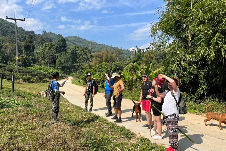 Chiang Rai: Jungle Adventure-Group Trekking & Bamboo Cooking