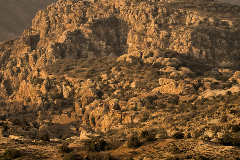 Von Aqaba aus: Dana Nature Reserve Private Tagestour mit Mittagessen