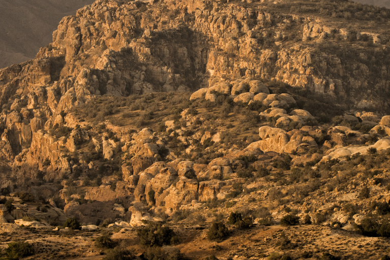 From Aqaba: Dana Nature Reserve Private Day Trip with Lunch