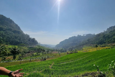 Avventura al Tempio di Selogriyo: trekking tra risaie e rafting sul fiume EloAvventura al tempio di Selogriyo: trekking nella risaia e rafting sul fiume Elo