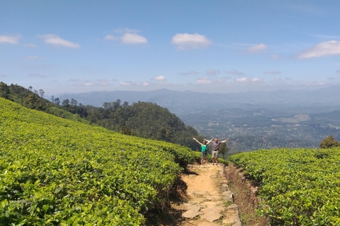 Vakantie Sri Lanka met 5 Dagen trekking de pekoe trailRondleiding in het Engels Privérondleiding