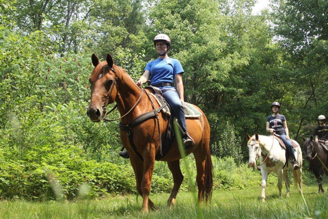 Punta Cana: Horseback Ride and Swim with Hotel Pickup