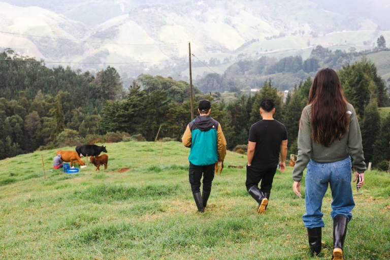 Das ist Kolumbien: Kultur, lokales Essen, Kühe und Pferde