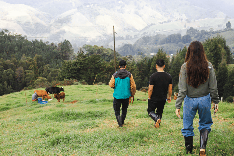 De Medellín: Passeio a cavalo, ordenha de vaca e tour gastronômicoDe Medellín: Passeio a cavalo e tour gastronômico local