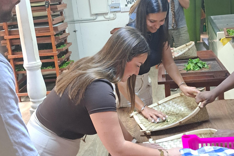 Ella: Organic Tea Plantation Tour with Tea Making & Tasting