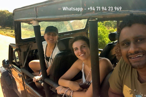 Yala safari w tush, met ophaalservice vanaf Ella &amp; Drop in Tangalle