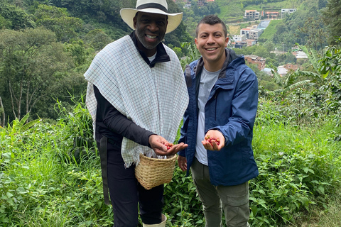 From Medellín: Half Day Private Coffee Tour