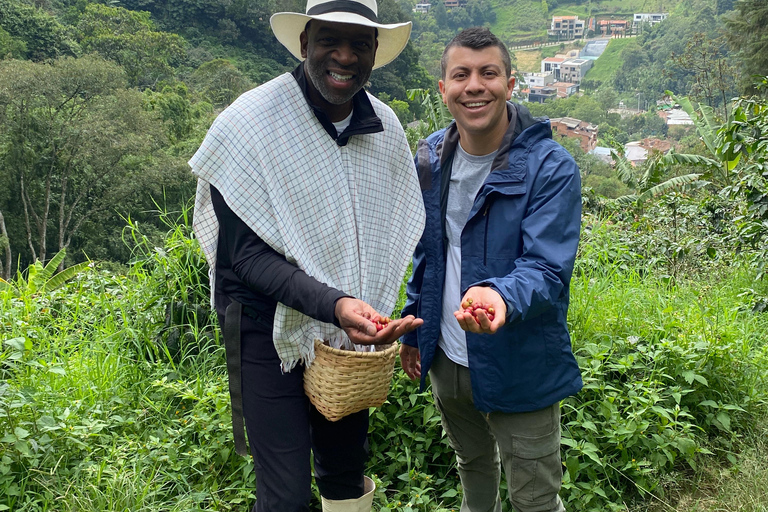 From Medellín: Half Day Private Coffee Tour