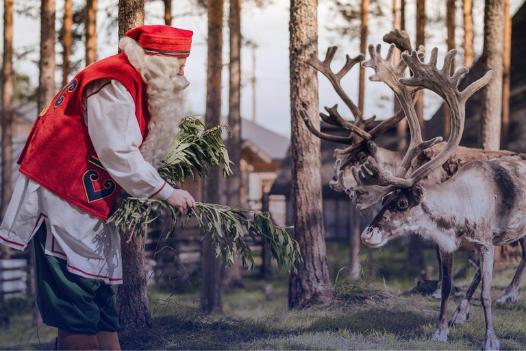 Rovaniemi: Tur till Santa Claus Village med hotelltransfer