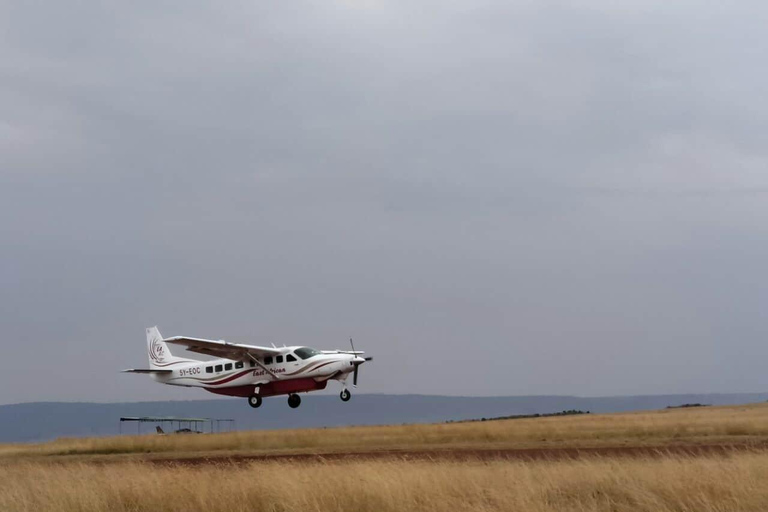 2 dagars Masai Mara flygande safaripaket