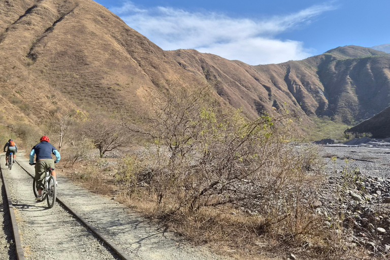 From Salta: Quebrada del Toro Mountain Bike Tour with Guide