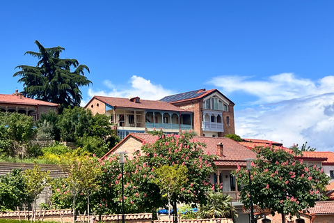 تبليسي: رحلة ليوم واحد إلى كاخيتي مع غداء عائلي وتذوق النبيذ