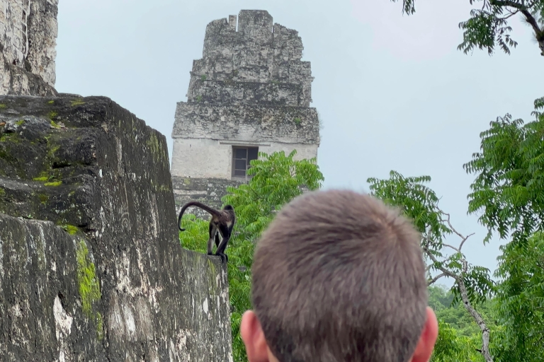 Tikal Sunrise, Archeological focus and Wildlife Spotting From El Remate Hotels and Airbnbs.