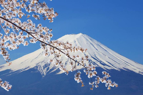 Tokyo Full and Half Day Sightseeing Tour with Mount Fuji Tokyo: 4 Hours Private City Sightseeing Tour with Tour Guide