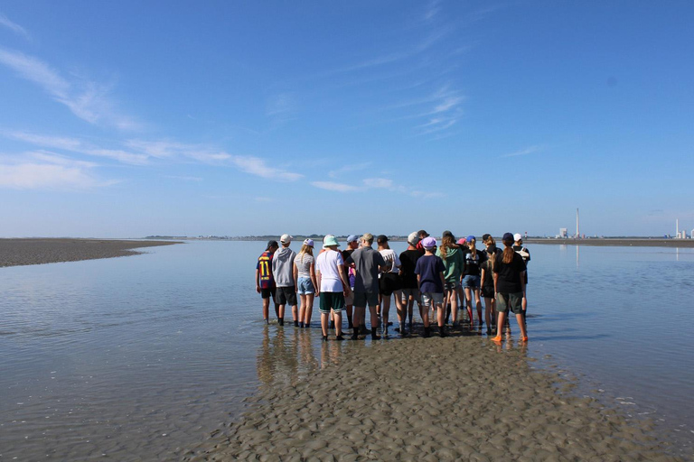 Butjadingen: Guided mudflat hike in the World Natural Heritage Site Butjadingen: Guided mudflat hike in the World Natural Heritage