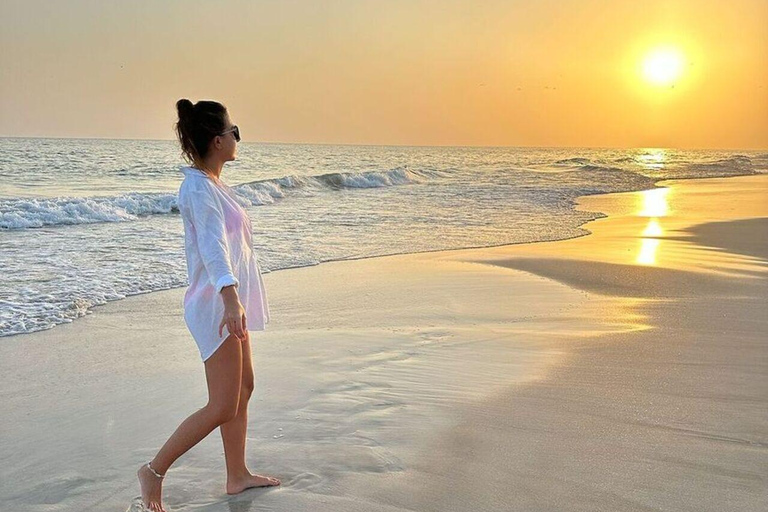 Salalah | Spiaggia di Fazayah, spiaggia di Mughsail e alberi di incenso