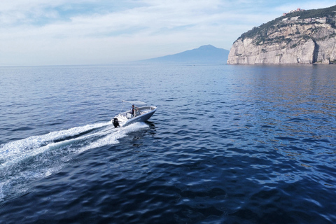 From Sorrento: Private Capri Tour Next 22 Up to 5 people