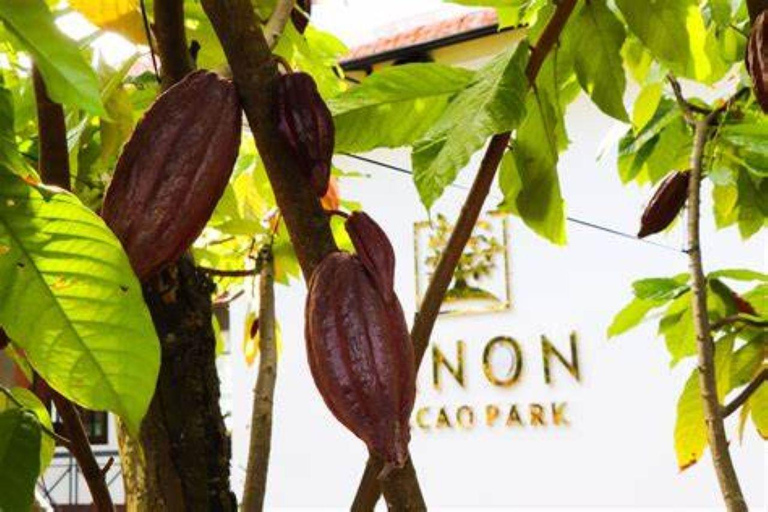 From Ho Chi Minh City: 2 Days Nature & Chocolate in Ho Tram