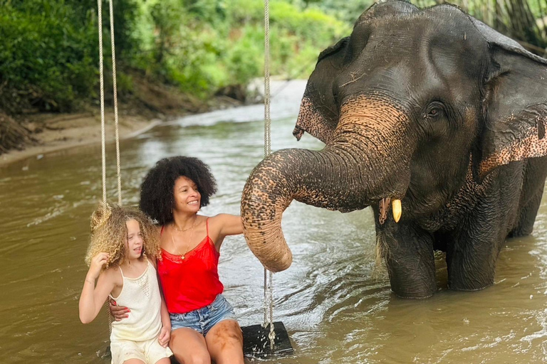 Chiang Mai: Elephant Sanctuary & Thai Cooking Workshop Meeting Point In Town