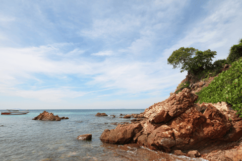 Au départ de Bangkok : Excursion d'une journée à l'oasis exotique de l'île de Koh LanVisite privée de l'île de Kon lan