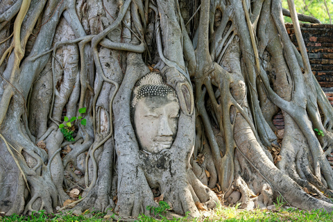 Ayutthaya Temples Private Day Tour from Bangkok Luxury Van for Group up to 9 PAX