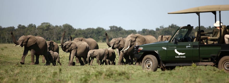Twyfelfontein : safari privé à la découverte des éléphants du désert et de l'art rupestre