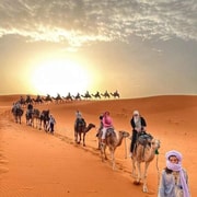 From Merzouga: Overnight Camel Trek over Erg Chebbi Dunes