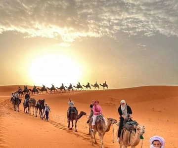Da Merzouga: trekking notturno a dorso di cammello sulle dune di Erg Chebbi