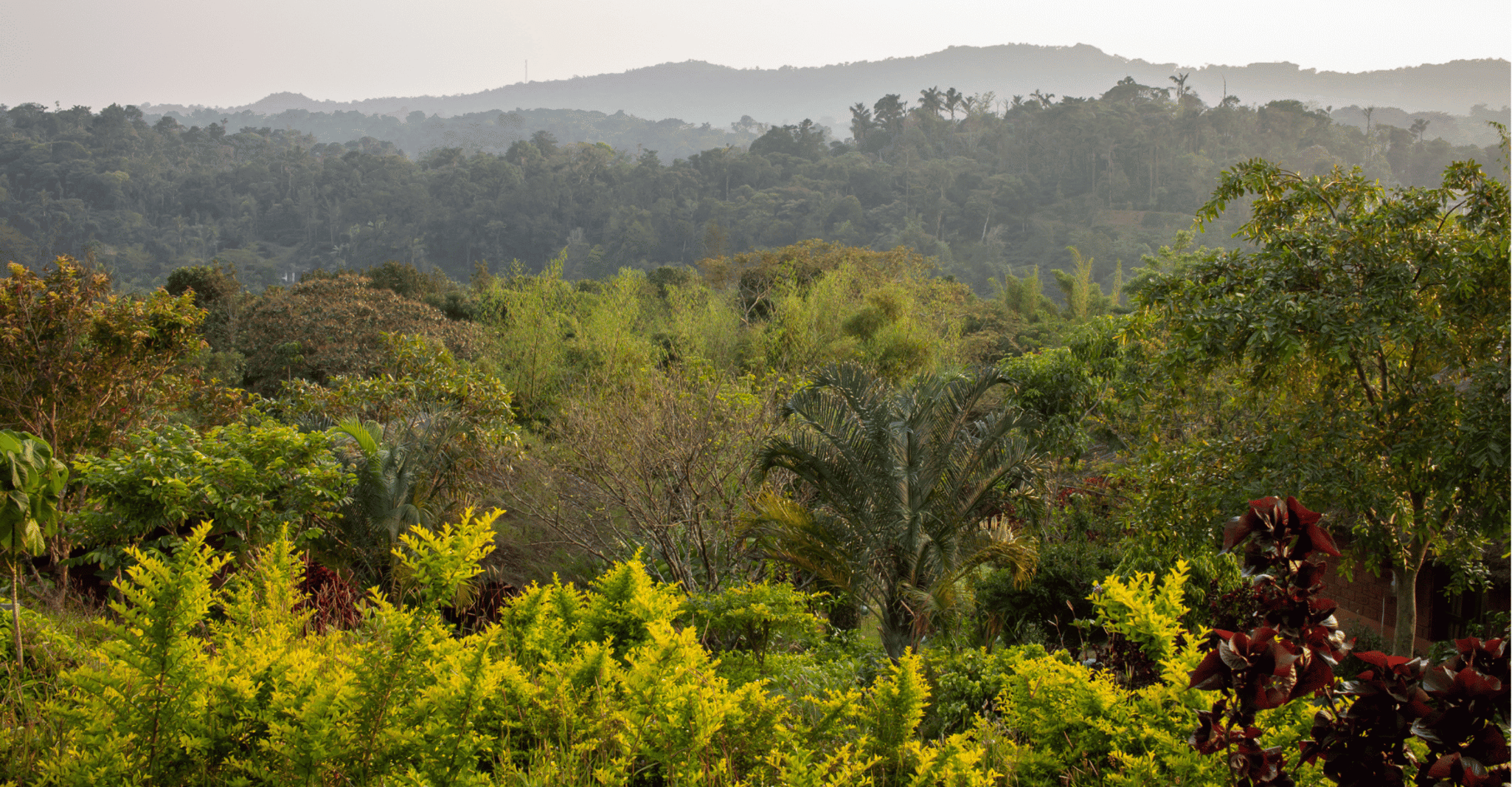 Touristic Highlights of Coorg (Guided Full Day Tour by car) - Housity